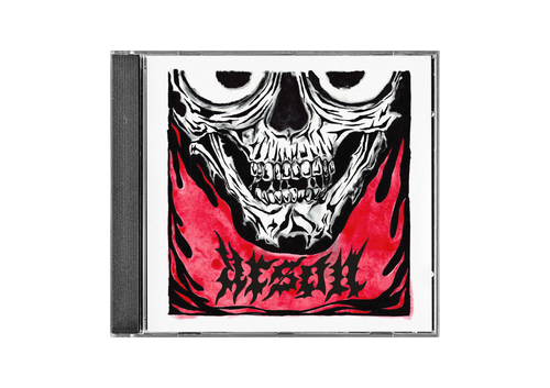 CD case with cover art for "arson": a black and white skull above stylized red flames, capturing aggressive energy. The word BLESH! in jagged, fiery font below embodies a DIY spirit.